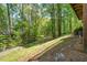 A backyard with mature trees surrounds a paved path and lawn at 5500 Fortunes Ridge Dr # 82B, Durham, NC 27713