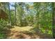 The lush backyard features shade trees, a paved path and backyard scenery at 5500 Fortunes Ridge Dr # 82B, Durham, NC 27713