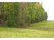 Expansive grassy backyard with a tree line, offering plenty of room for recreation and enjoying nature at 5600 Treestand Ct, Garner, NC 27529