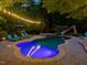 Backyard pool area features a slide, spa, and lounge seating, perfect for relaxation and recreation at 6824 Wood Forest Dr, Cary, NC 27519
