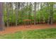 Wooded backyard area featuring a swing set surrounded by trees and pine straw at 7633 Summer Pines Way, Wake Forest, NC 27587