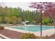 Outdoor pool featuring lap lanes, a water slide, and surrounding trees, great for recreation and relaxation at 7633 Summer Pines Way, Wake Forest, NC 27587