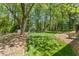 This backyard has a well-maintained lawn with a patio and mature trees offering plenty of shade at 7653 Summerglen Dr, Raleigh, NC 27615
