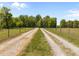 Gravel driveway leading to a rural property with grass on both sides at 9400 Wheelers Church E Rd, Hurdle Mills, NC 27541