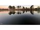 Still waters of a pond reflects the surrounding tree line at sunset at 2747 Beasley, Benson, NC 27504
