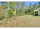 The backyard features a border of trees, providing privacy at 2784 Norrington Rd, Lillington, NC 27546
