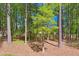 Backyard view shows mature trees providing privacy at 313 Crown Oaks Dr, Raleigh, NC 27615