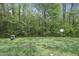 A view of the backyard featuring lush trees and an electrical box on a bright sunny day at 5329 Big Bass Dr, Raleigh, NC 27610