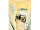 Well-equipped laundry room with modern washer and dryer units and shelving for storage at 5410 Jessip Street St, Morrisville, NC 27560