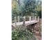 Wooden footbridge with rope railing through a wooded area surrounded by natural vegetation at 621 Bon Air Ave, Durham, NC 27704