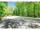 Outdoor court with tennis net, mature trees, and a lush green backyard at 803 Old Mill Rd, Chapel Hill, NC 27514