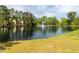 Picturesque community pond with a fountain and surrounded by mature trees and lush greenery at 117 Whitehaven Ln, Cary, NC 27519