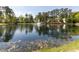 Beautiful view of a community pond with a fountain and mature trees in the background at 117 Whitehaven Ln, Cary, NC 27519