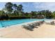 Large community swimming pool with lounge chairs and mature trees in the background at 117 Whitehaven Ln, Cary, NC 27519