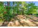 Secluded backyard featuring lush greenery, mature trees, and garden decor, offering a tranquil outdoor experience at 1701 Pinedale Dr, Raleigh, NC 27603