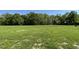 A large green lawn surrounded by mature trees under a clear blue sky at 261 Phil Jack Rd, Dunn, NC 28334