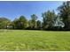 Large, green yard with trees and a blue sky overhead at 299 Phil Jack Rd, Dunn, NC 28334