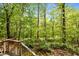 A wooded lot behind the backyard deck adds natural beauty and privacy to this home at 300 Nc 54 # E3, Carrboro, NC 27510