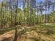 Landscaped lot, with tree line and green grass at 6245 Reagan Ln, Wake Forest, NC 27587
