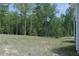 Expansive backyard offering ample green space and a line of trees in the background at 395 Carolina Landing Dr, Zebulon, NC 27597