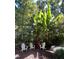 Outdoor seating area with three chairs and lush tropical plants create private zen area at 5605 Cary Glen Blvd, Cary, NC 27519