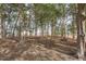 Shaded common area with mature trees and nature themed benches and tables at 717 Silo Park Dr, Wake Forest, NC 27587