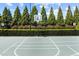 Outdoor basketball court with a hoop and a beautifully landscaped backdrop, ideal for sports enthusiasts at 1047 Aberlour Ln, Burlington, NC 27215