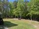 Expansive backyard with lush green grass and mature trees providing shade and privacy at 140 Barletta Ct, Clayton, NC 27527