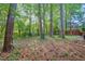 Backyard featuring mature landscaping with shade trees at 2418 Mont Haven Dr, Durham, NC 27712