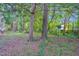 Backyard featuring mature landscaping and tall trees at 2418 Mont Haven Dr, Durham, NC 27712