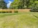 Fenced-in backyard offers privacy, featuring lush green grass and shade trees at 3016 Fields Dr, Raleigh, NC 27603