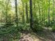Lush, mature forest and landscaping in the backyard providing privacy at 315 King George Loop, Cary, NC 27511