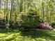 Well-manicured backyard with mature trees, colorful bushes and green grass at 315 King George Loop, Cary, NC 27511