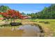 Scenic pond with a mature Japanese maple tree adding color to the lush green backyard at 3214 Saddle Club Rd, Mebane, NC 27302