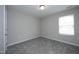 This bedroom features carpet, neutral walls, and natural light from a window at 3804 Delves Ln, Raleigh, NC 27616