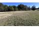 Picture showing the expansive lot that includes a large grassy area at 4208 Louisbury Rd, Wake Forest, NC 27587