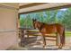 Horse standing in the horse barn beneath the shelter at 6600(A) Maynard Farm Rd, Chapel Hill, NC 27516
