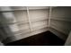 Pantry closet with shelves at 705 Blue Pointe Path, Apex, NC 27523