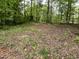 Wooded lot with mature trees and a clearing ready for construction at 765 Whitley Rd, Middlesex, NC 27557