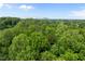 Scenic aerial view of lush treetops and distant city skyline, showing the natural beauty of the area at 1109 Renewal Pl, Raleigh, NC 27603