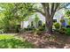 Expansive backyard with verdant lawn and plenty of shade from the mature trees at 111 Sir Richard Ln, Chapel Hill, NC 27517