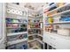 Spacious pantry with lots of shelving, providing ample storage for all your needs at 1305 Chronicle Dr, Durham, NC 27703