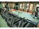 Gym with treadmills, weight machines, benches and mirrors at 132 Deardom Way, Chapel Hill, NC 27516