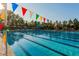 A community swimming pool with lane markers and colorful pennant flags strung overhead at 132 Deardom Way, Chapel Hill, NC 27516