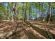 Scenic view of the forest with fallen log and scattered leaves on the ground, creating a peaceful woodland scene at 1415 Meadow Wind Ln, Hillsborough, NC 27278