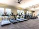 Well-equipped fitness center featuring treadmills, elliptical machines, and ample space for workouts at 40 Wabash St, Pittsboro, NC 27312