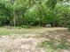 Expansive backyard featuring a storage shed, mature trees, and open space for outdoor activities and relaxation at 81 Sallie Dr, Smithfield, NC 27577