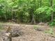 The backyard has space for outdoor activities or relaxation, with a fire pit and wooded backdrop at 81 Sallie Dr, Smithfield, NC 27577
