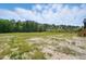 A large backyard featuring lush green foliage and natural landscapes creates a tranquil and private outdoor space at 8629 Dukes Lake Rd, Zebulon, NC 27597