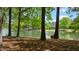 Picturesque lake view framed by mature trees, offering a serene and natural setting at 116 Hibiscus Dr, Clayton, NC 27527